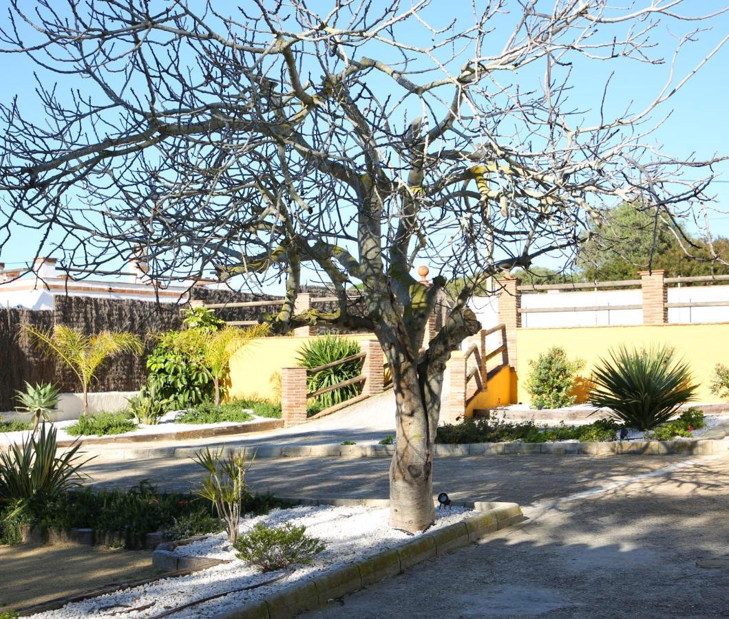 Casas Dibaca By Patria Villa Vejer de la Frontera Eksteriør billede
